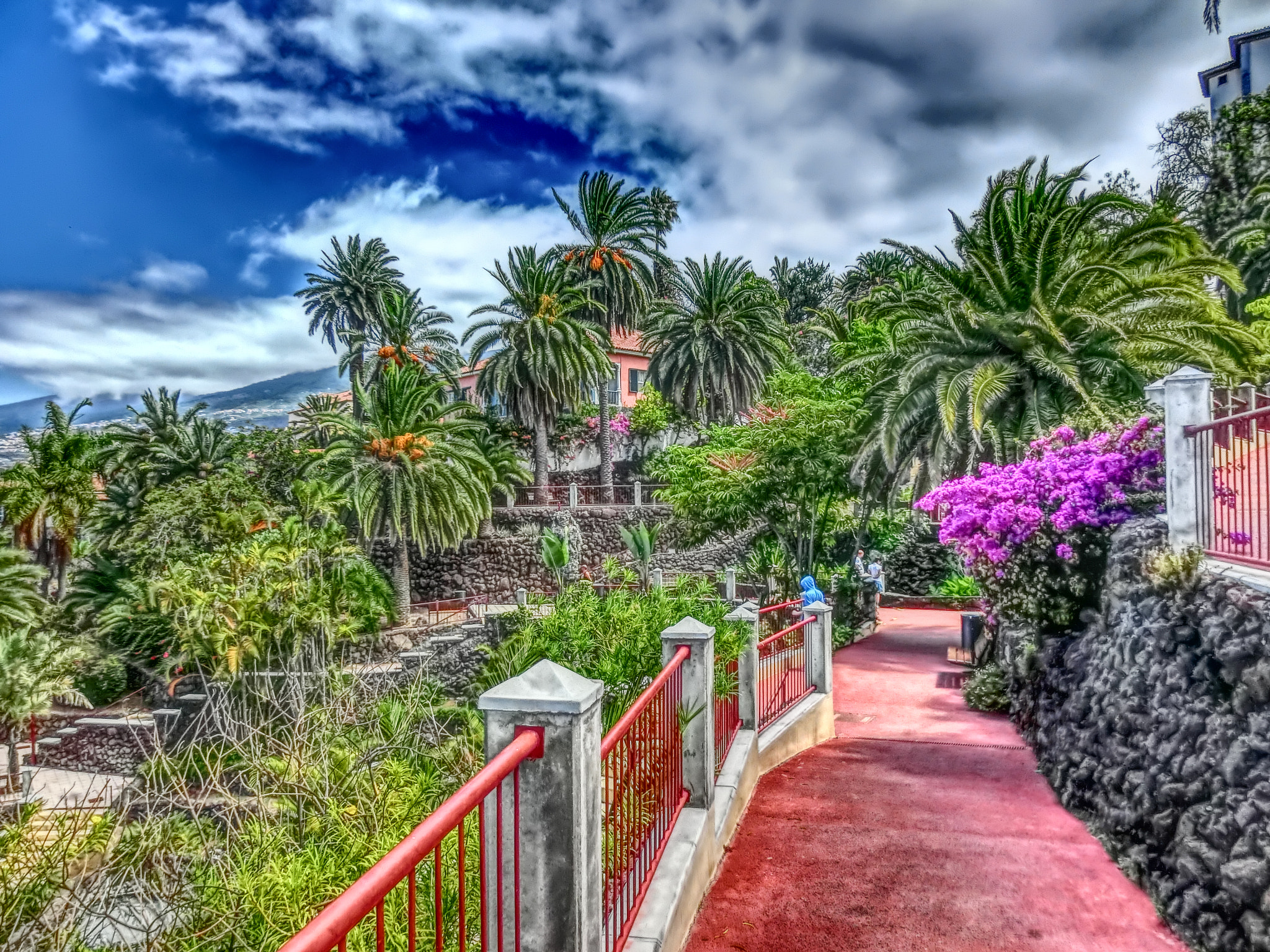 CASIO EX-ZR500 sample photo. Paradise garden photography