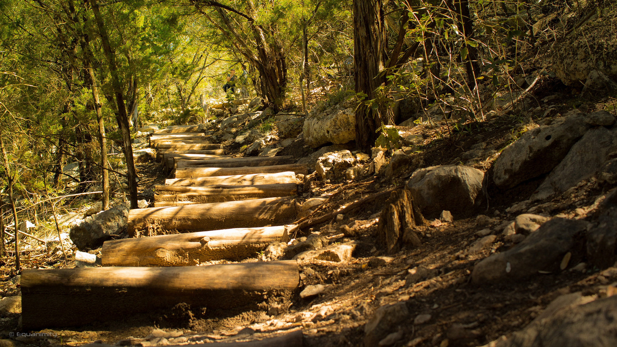 Canon EF-S 24mm F2.8 STM sample photo. Stairs of determination photography