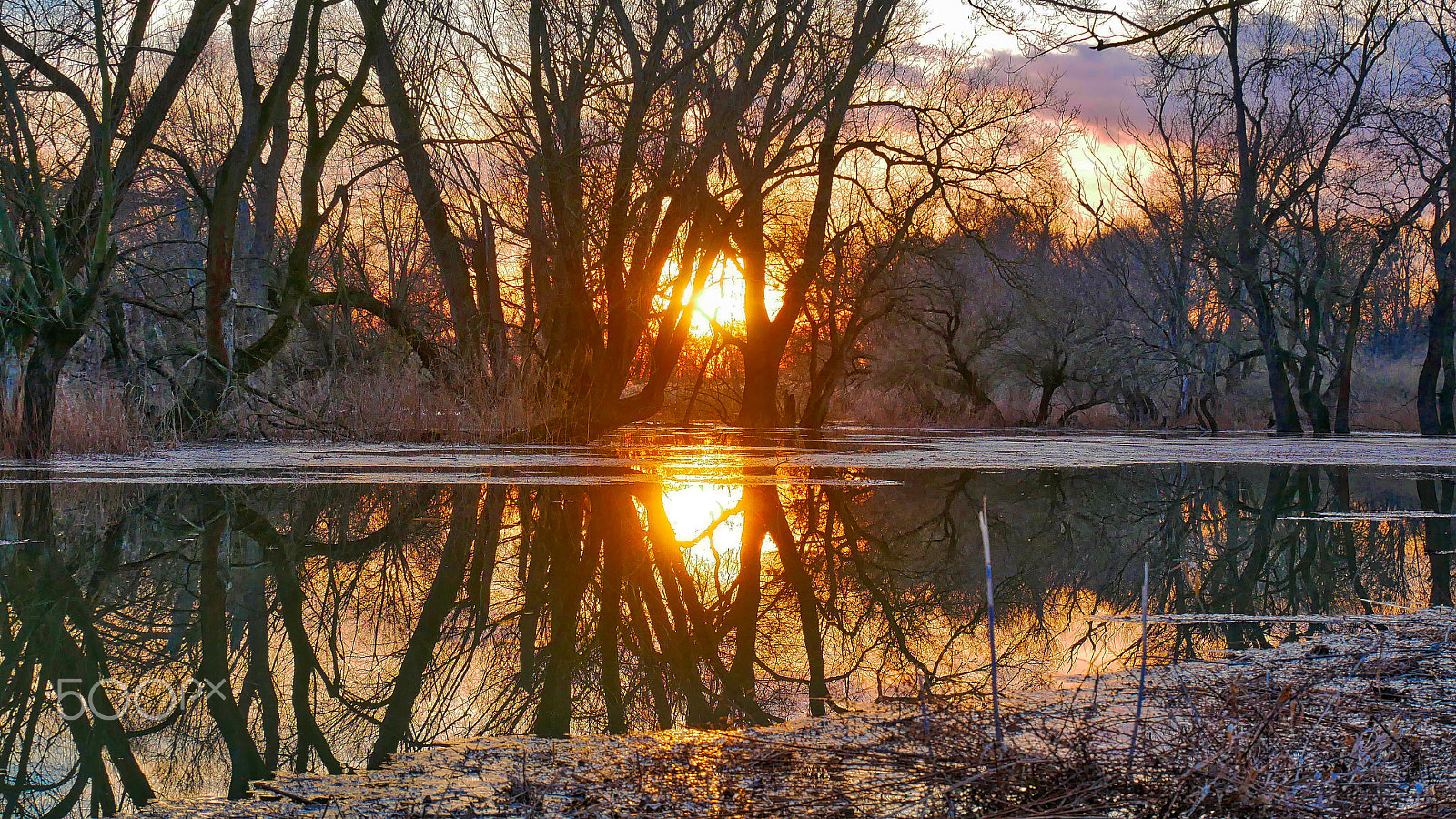Panasonic Lumix DMC-GX85 (Lumix DMC-GX80 / Lumix DMC-GX7 Mark II) sample photo. Sunset flood photography