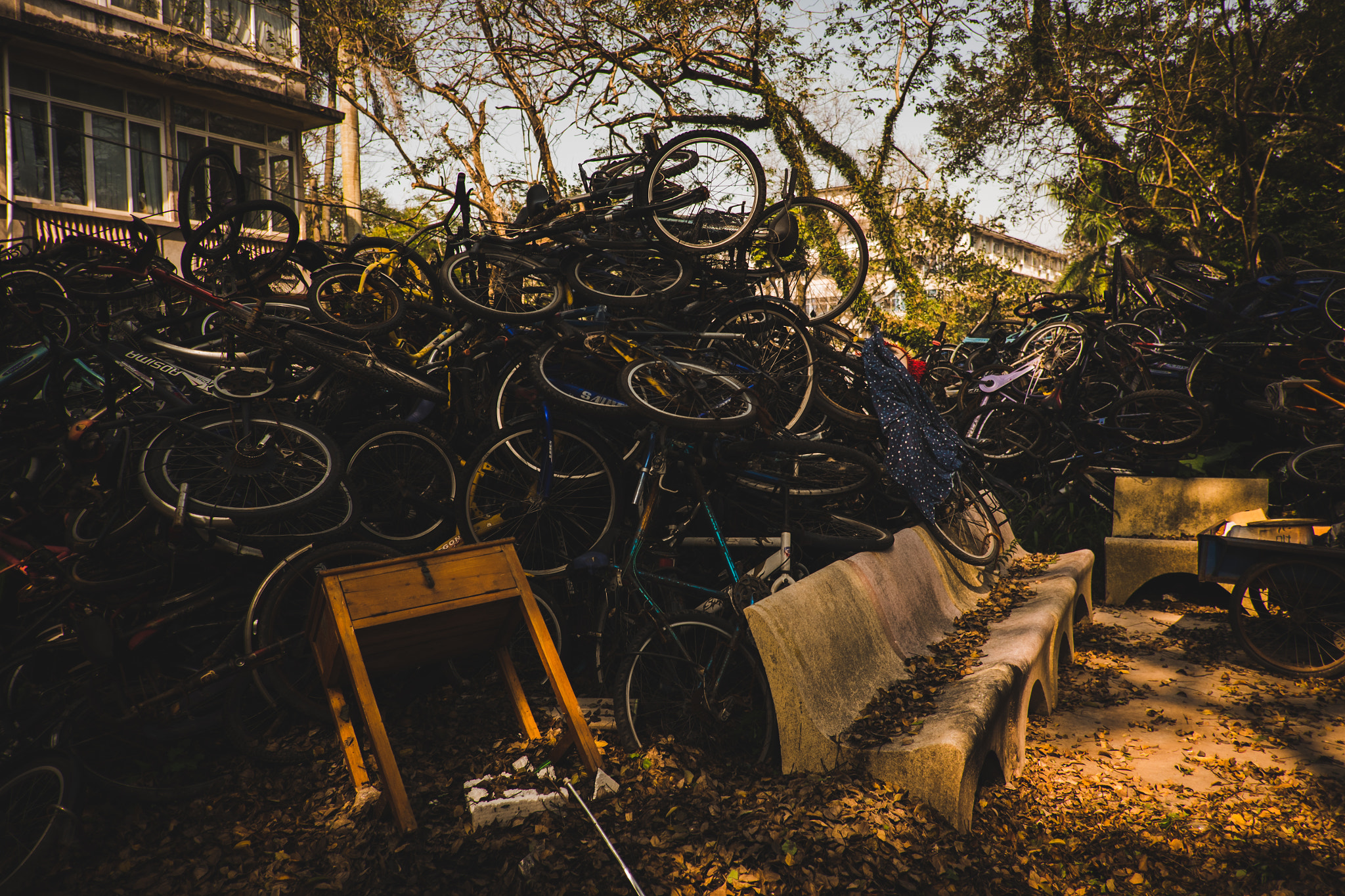 Fujifilm X-T1 + Fujifilm XF 18mm F2 R sample photo