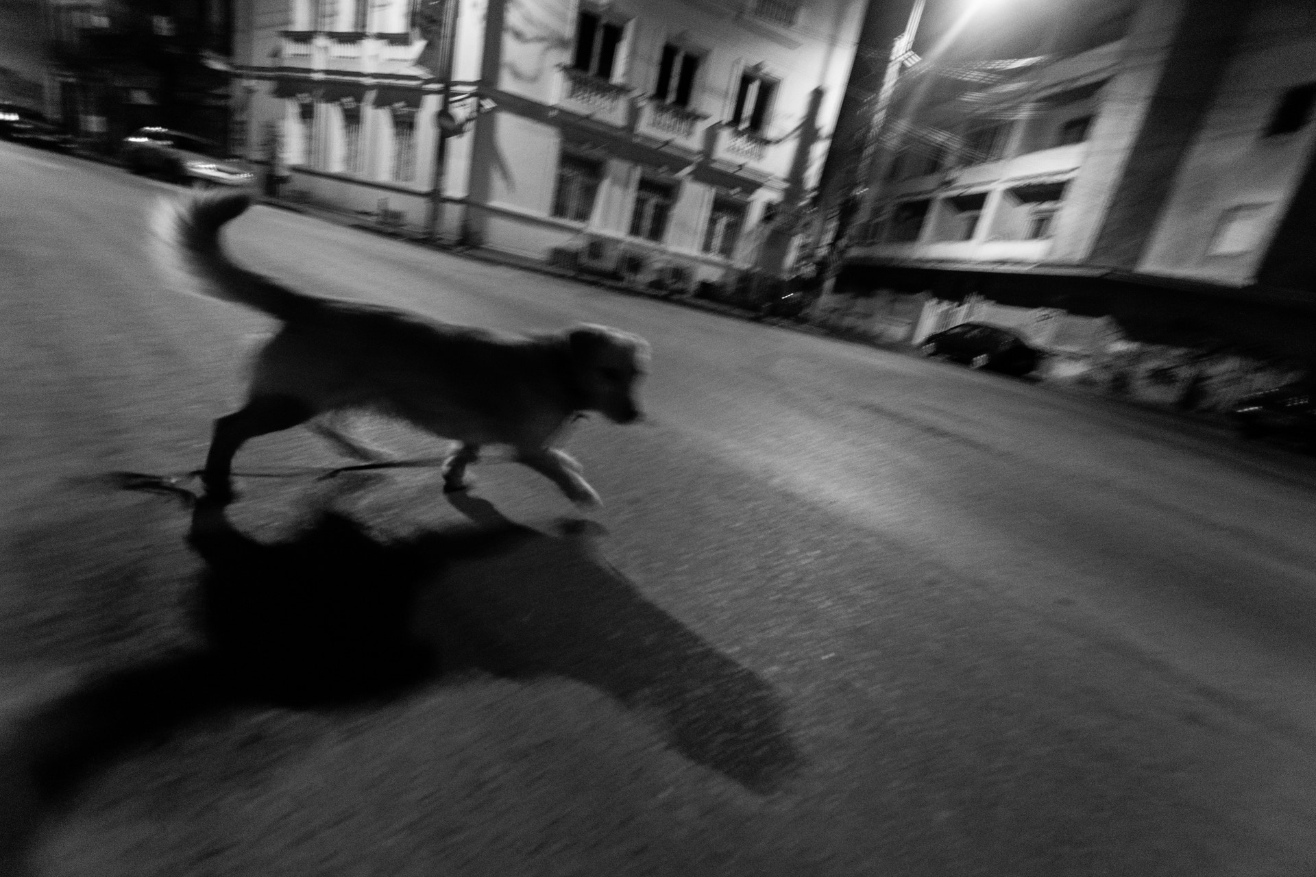 Nikon D5300 + Sigma 10-20mm F3.5 EX DC HSM sample photo. Night watch photography