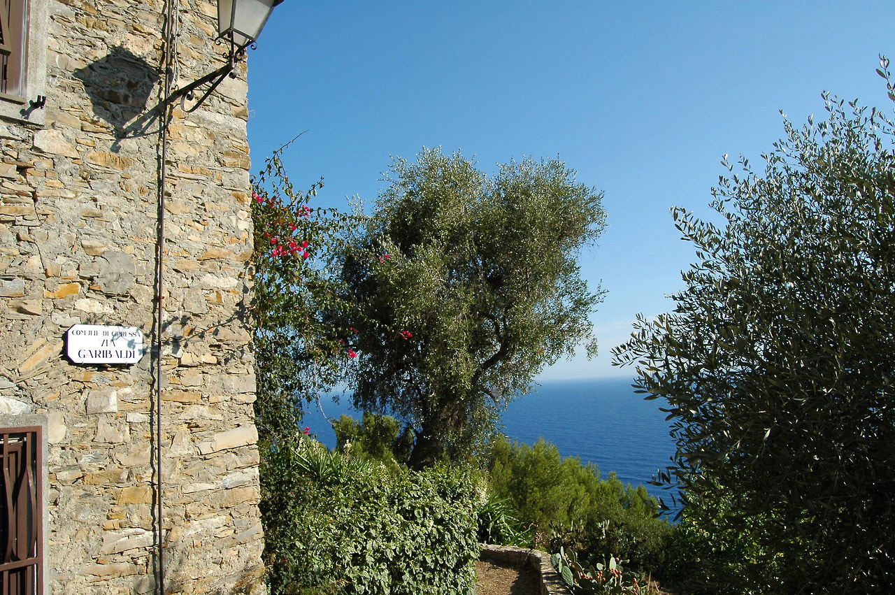 Nikon D70 sample photo. Cipressa (im) - borgata poggio photography
