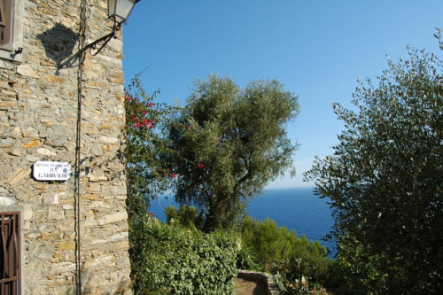 Nikon D70 sample photo. Cipressa (im) - borgata poggio photography