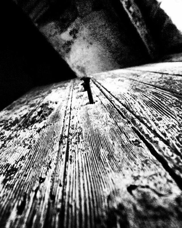 Kodak DCS Pro 14nx sample photo. Nella fotografia, la più piccola cosa può essere u ... photography