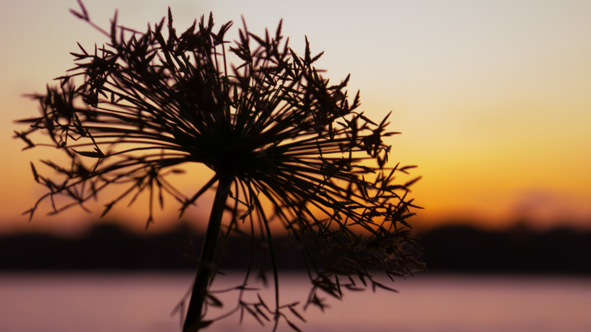 Panasonic Lumix DMC-G2 + Panasonic Lumix G Vario 14-42mm F3.5-5.6 ASPH OIS sample photo. Starry sunset photography