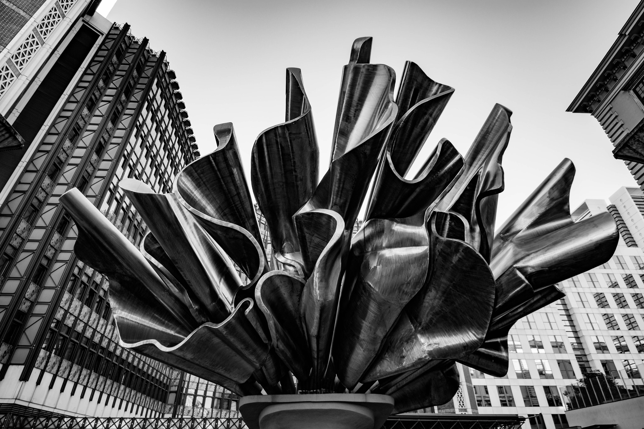 Sigma 8-16mm F4.5-5.6 DC HSM sample photo. Waving flags photography