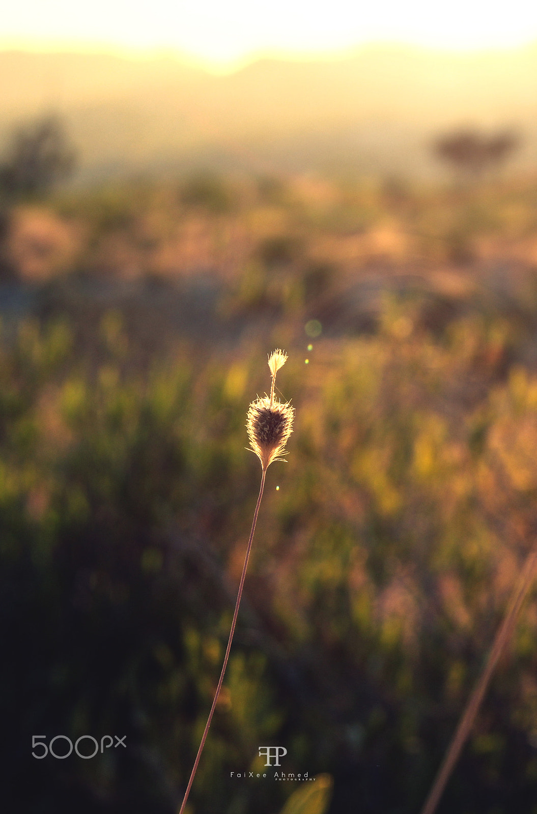 Canon EF-S 17-55mm F2.8 IS USM sample photo. Tranquil photography