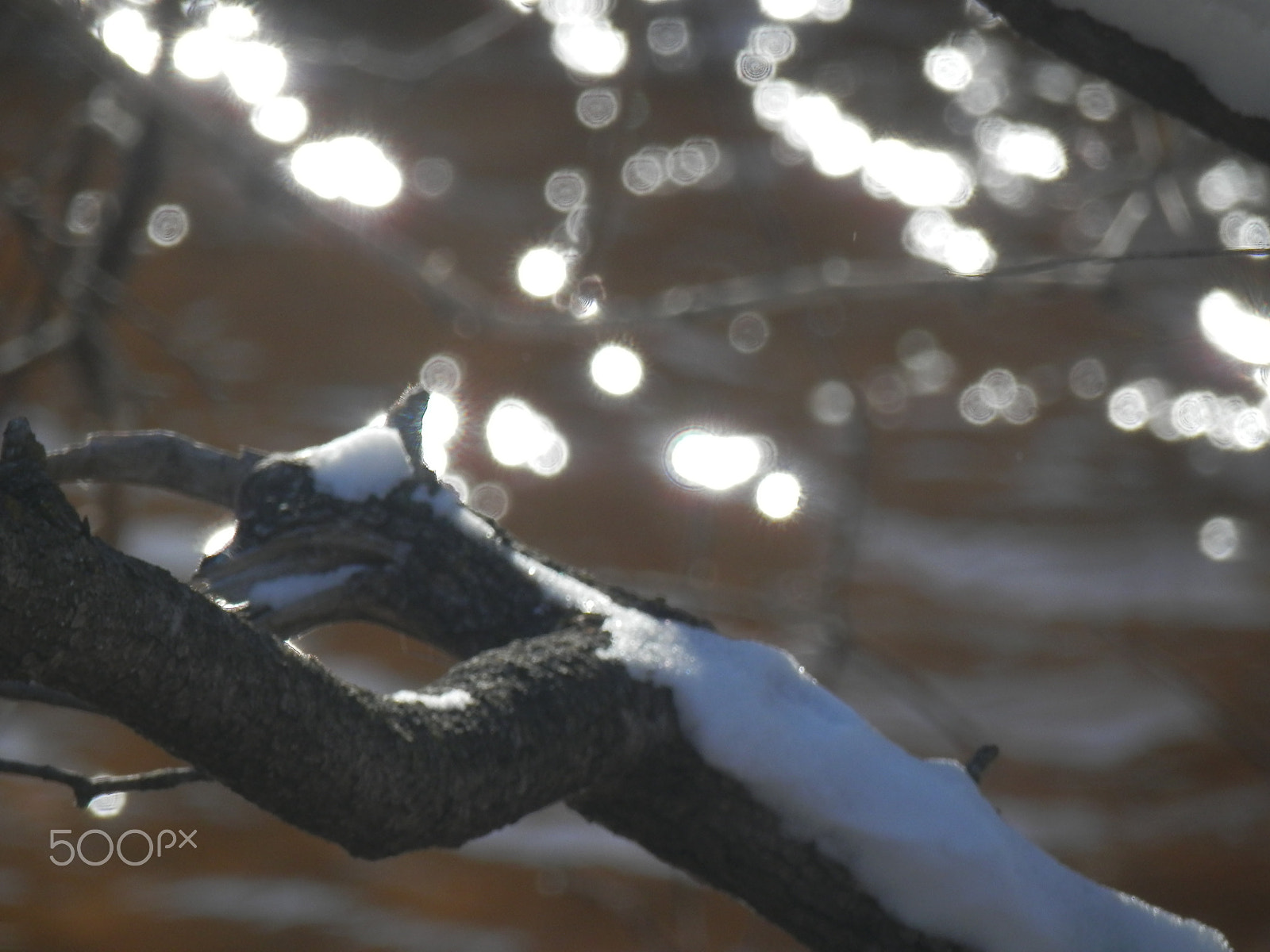 Olympus SZ-14 sample photo. Bridge creek - 1 photography