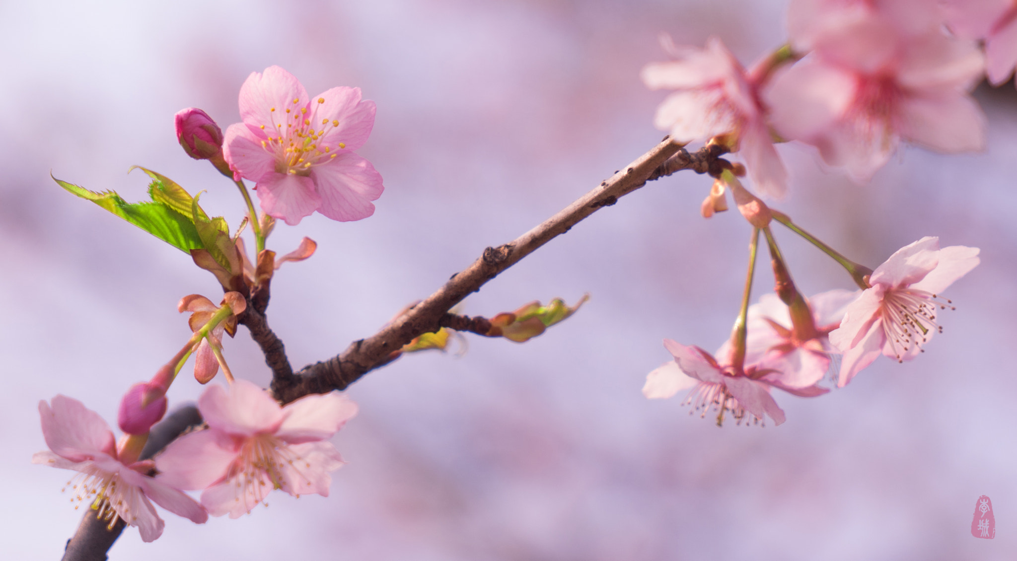 Sony a7 + Sony Vario Tessar T* FE 24-70mm F4 ZA OSS sample photo
