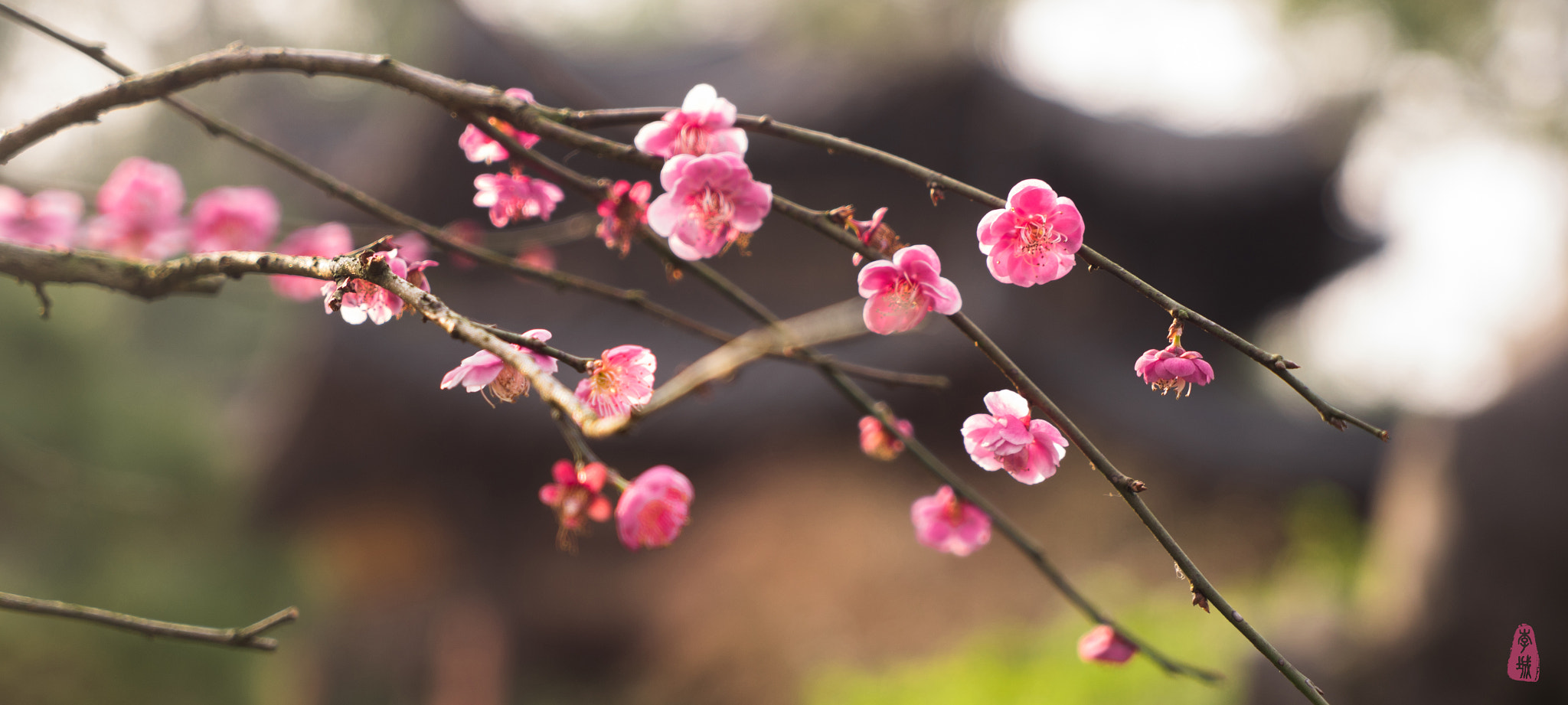 Sony a7 + Sony Vario Tessar T* FE 24-70mm F4 ZA OSS sample photo
