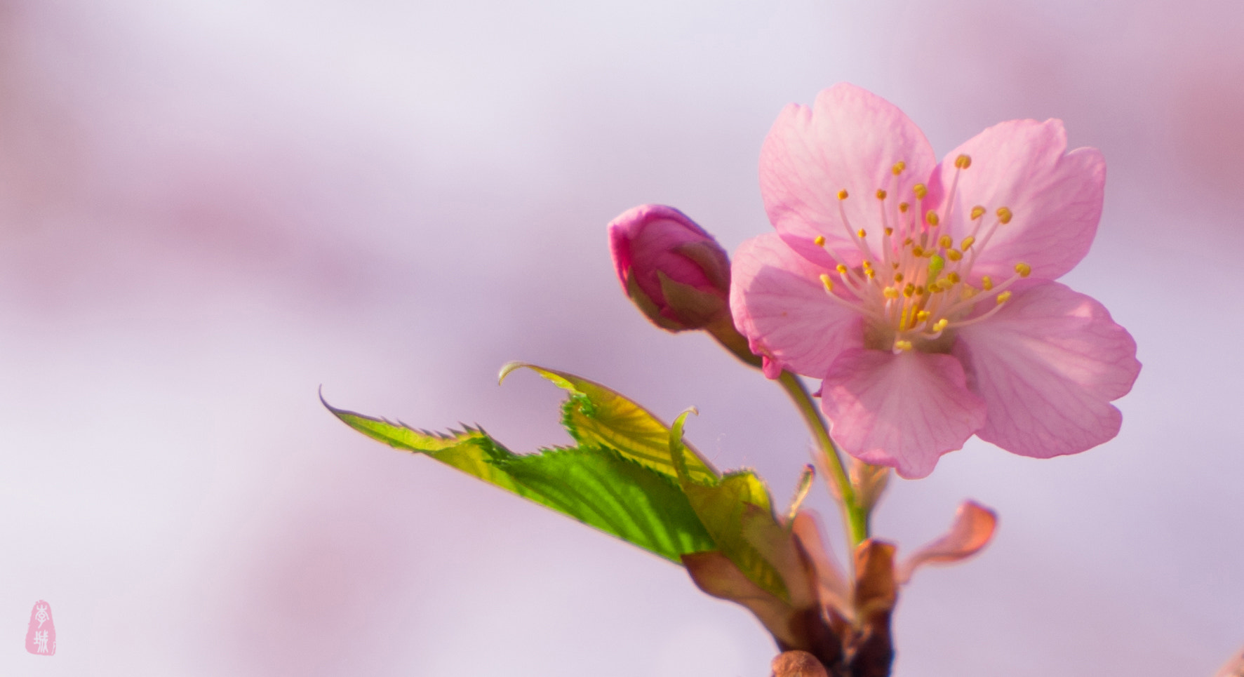 Sony a7 + Sony Vario Tessar T* FE 24-70mm F4 ZA OSS sample photo