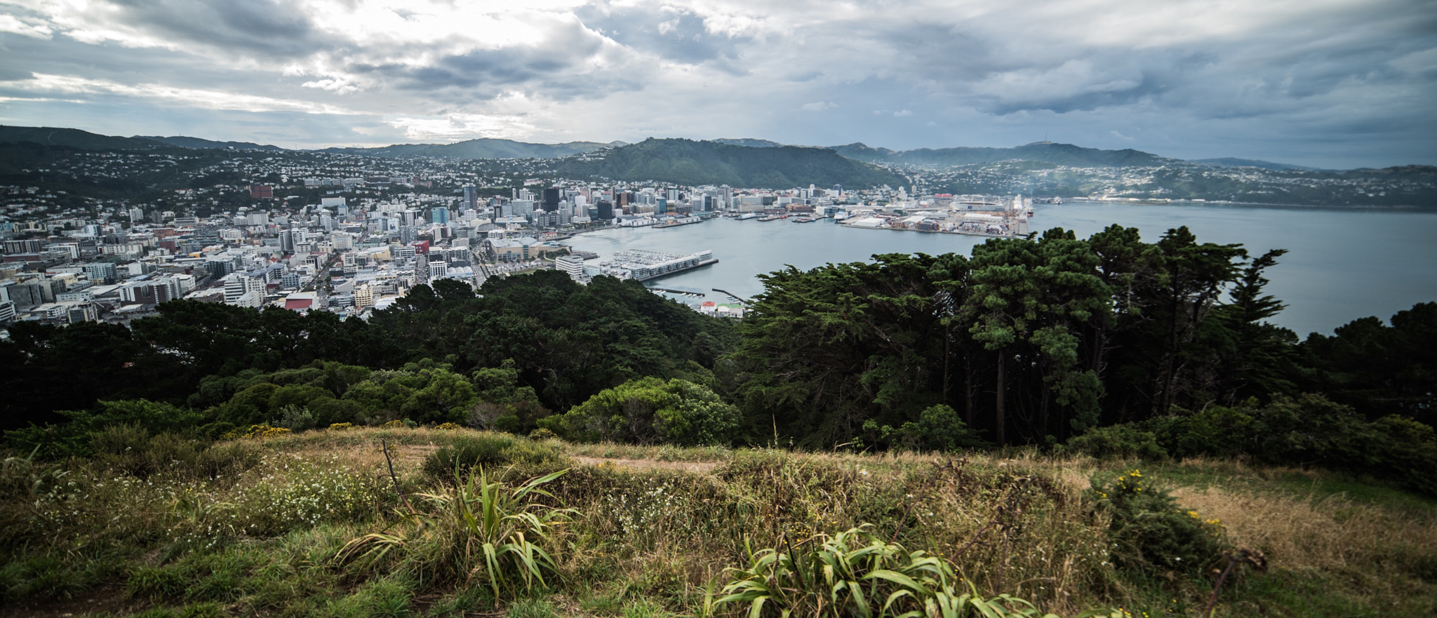Samyang 14mm F2.8 ED AS IF UMC sample photo. Wellington city! photography