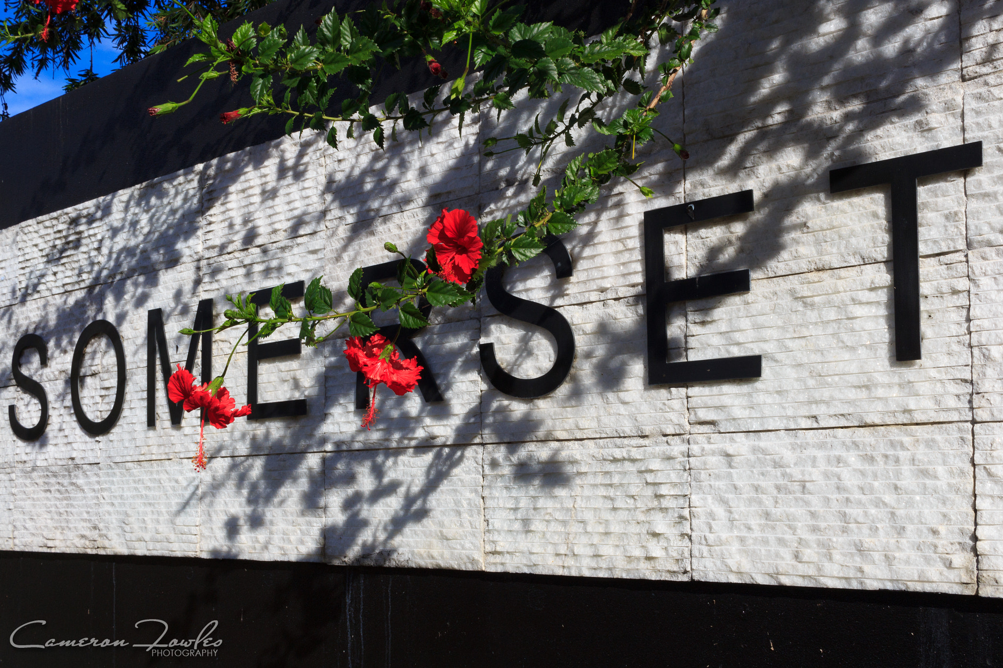 Canon EF-S 24mm F2.8 STM sample photo. A walk around the neighbourhood photography