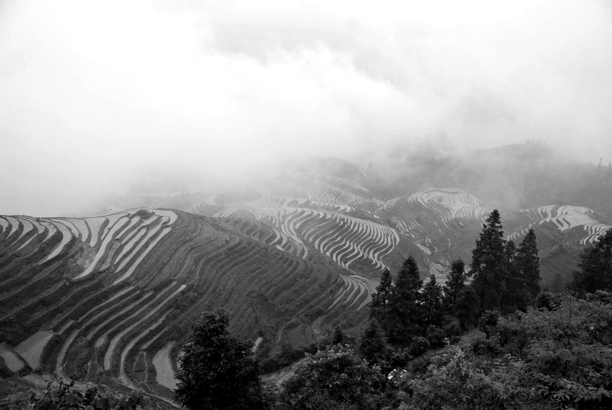 Nikon D40X sample photo. Longsheng rice terrace (龙胜梯田), guangxi, china photography