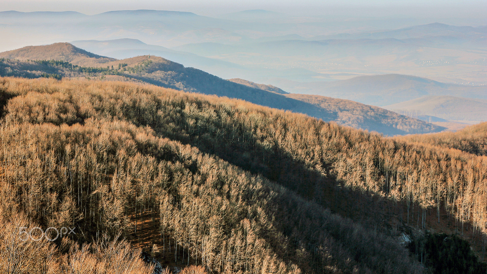 Canon EOS 600D (Rebel EOS T3i / EOS Kiss X5) sample photo. December without snow photography