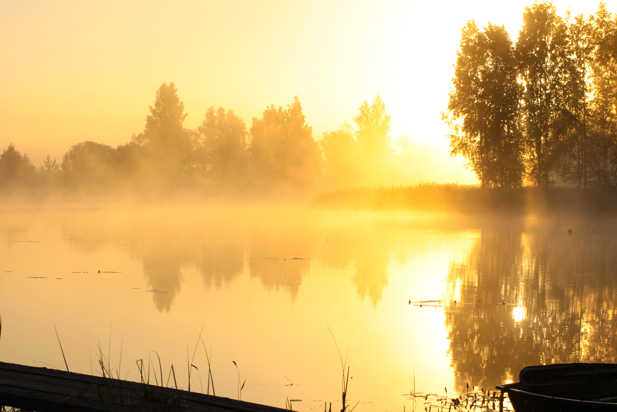 Canon EF 55-200mm F4.5-5.6 II USM sample photo. Morning photography