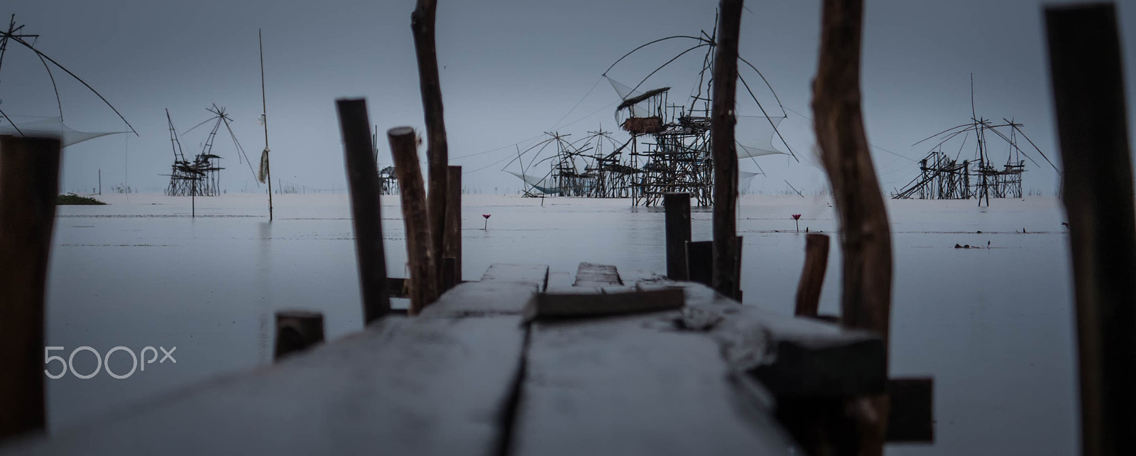 Olympus OM-D E-M10 sample photo. Wetland photography