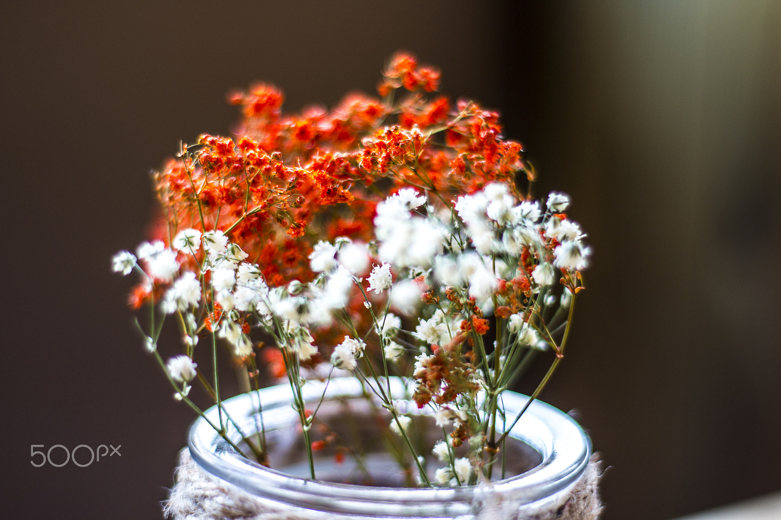 ZEISS Planar T* 50mm F1.4 sample photo. Nice and tiny flowers photography