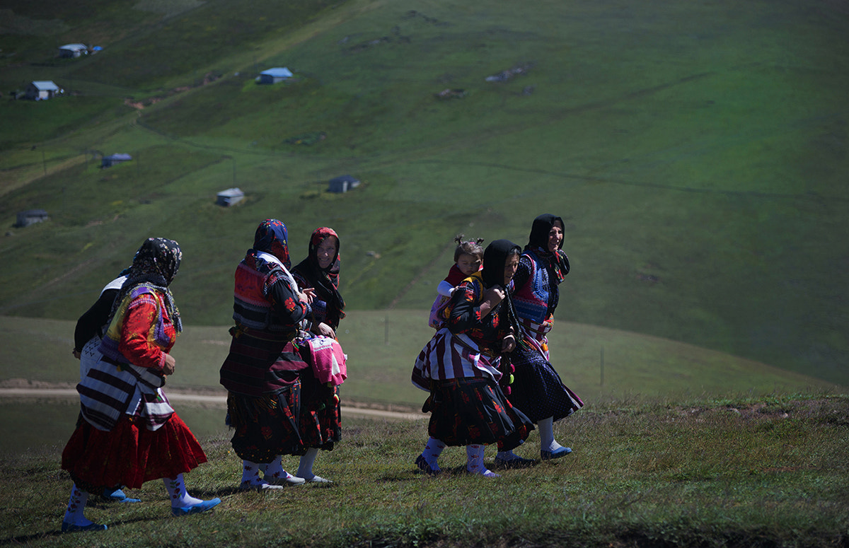 Nikon D800 sample photo. Karadeniz. kadırga yaylası. photography