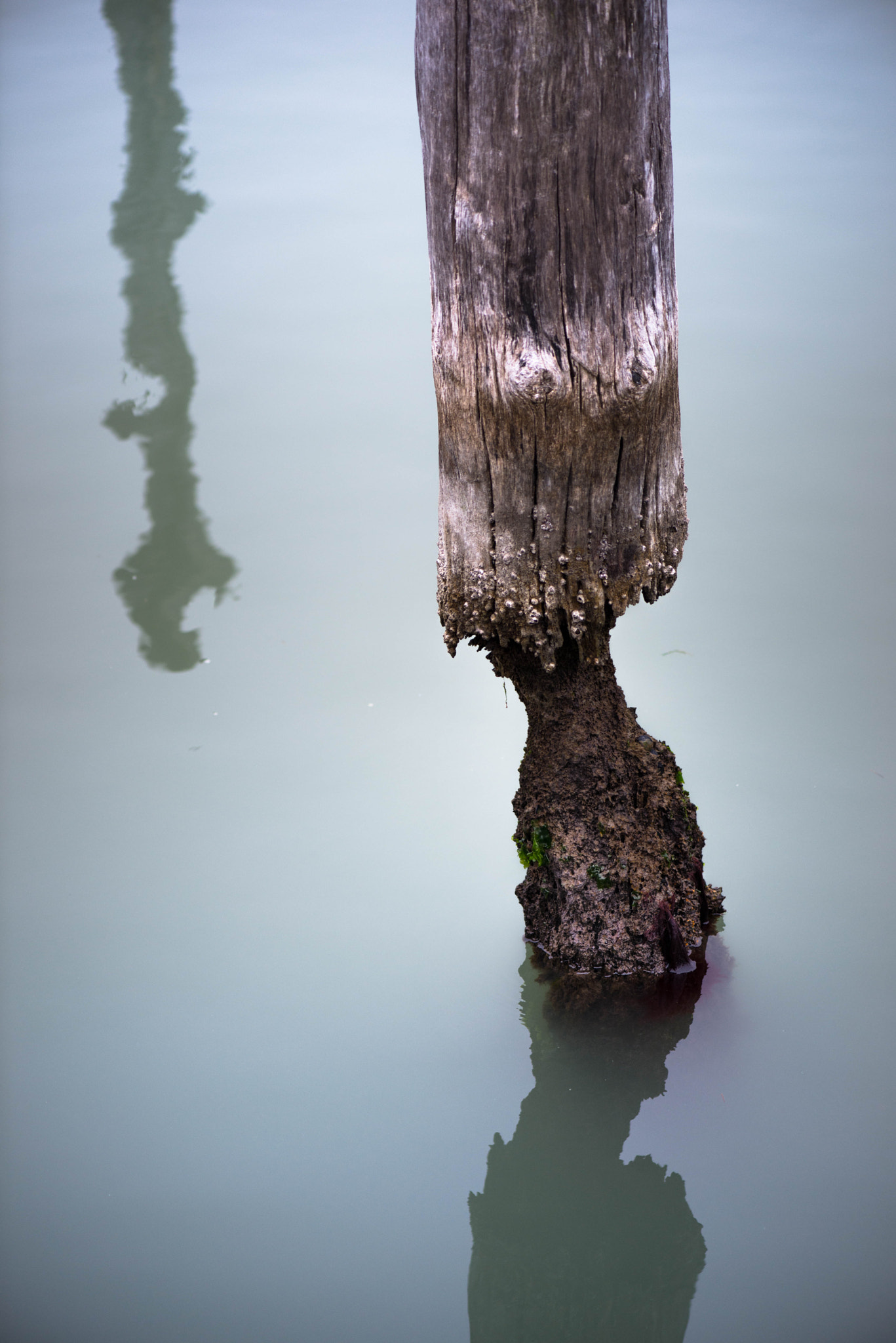 Nikon AF-S Micro-Nikkor 105mm F2.8G IF-ED VR sample photo