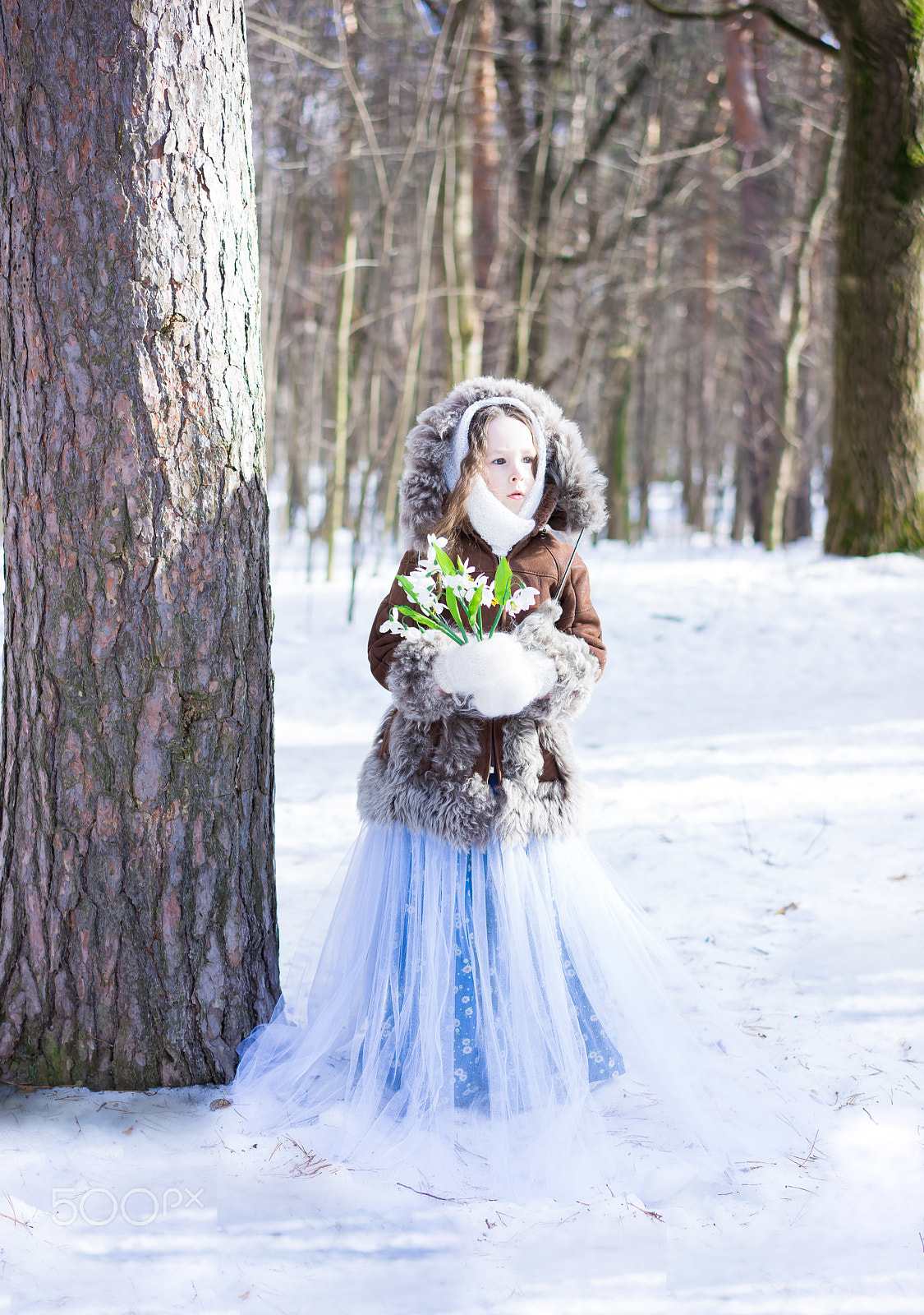 Sony a7R + Sony Sonnar T* FE 55mm F1.8 ZA sample photo. Dsc photography