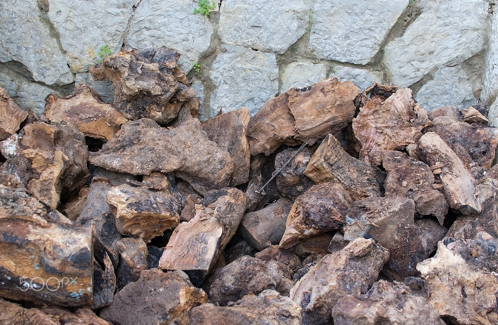 Nikon D7100 sample photo. Olive firewood closeup photography