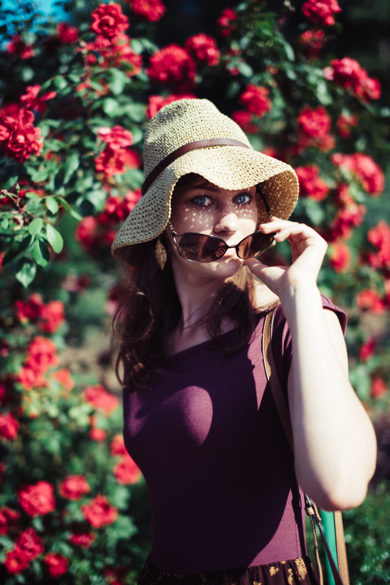 Nikon D800 + Sigma 50mm F1.4 EX DG HSM sample photo. Roses photography