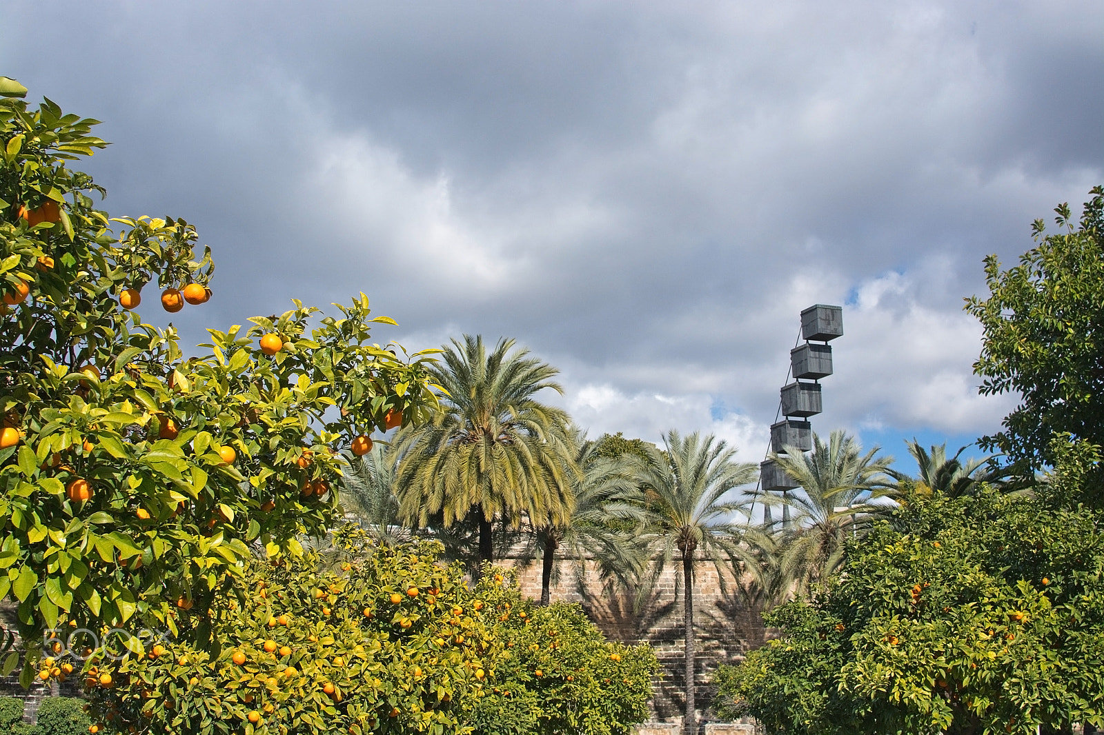 Nikon D7100 sample photo. Es baluard oranges palma photography