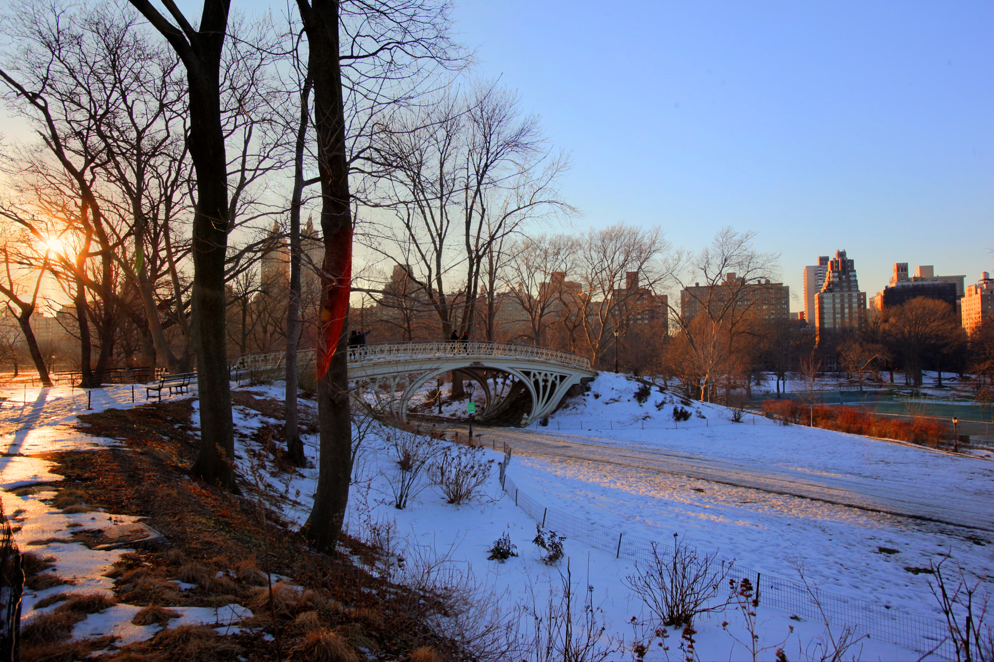Canon EOS 5D Mark II sample photo. Sunny winter sunday in central park nyc photography