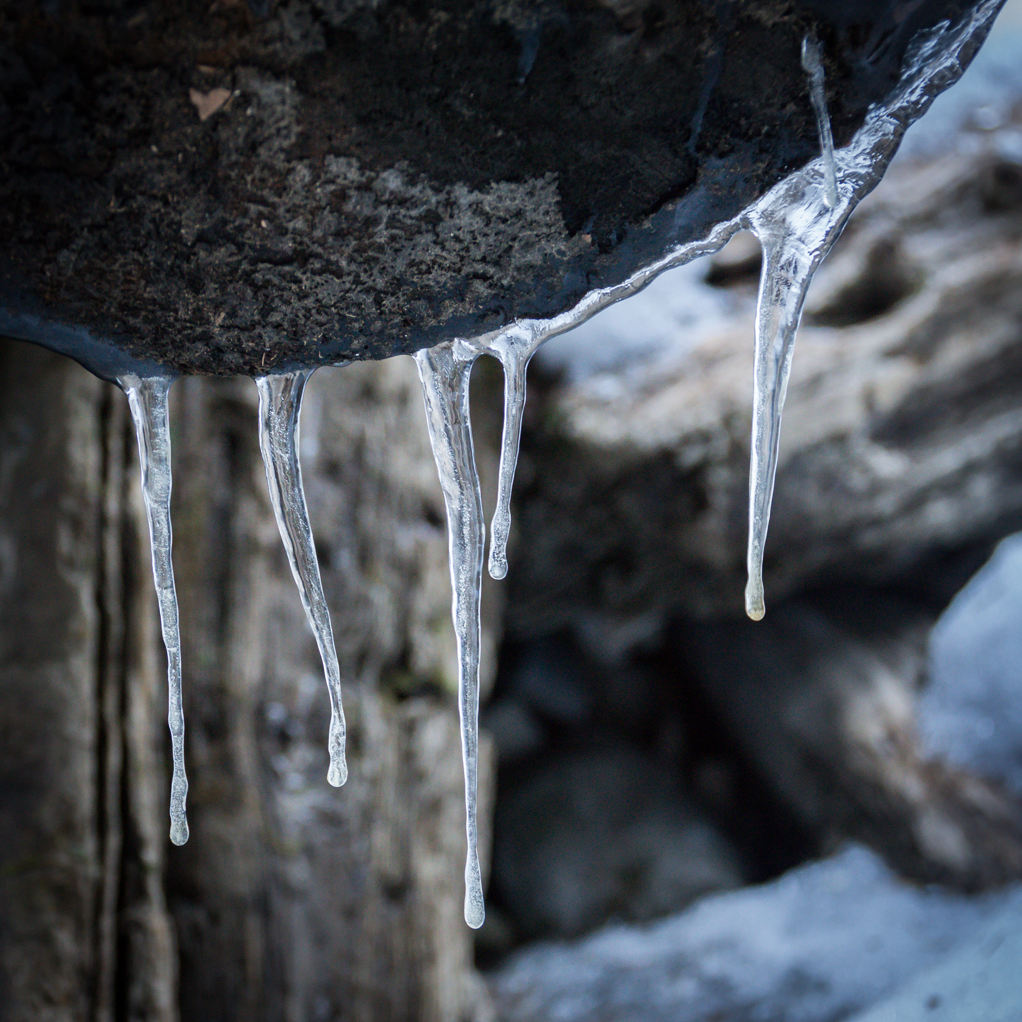 Canon EOS 700D (EOS Rebel T5i / EOS Kiss X7i) + Sigma 17-70mm F2.8-4 DC Macro OS HSM sample photo. Icicles photography
