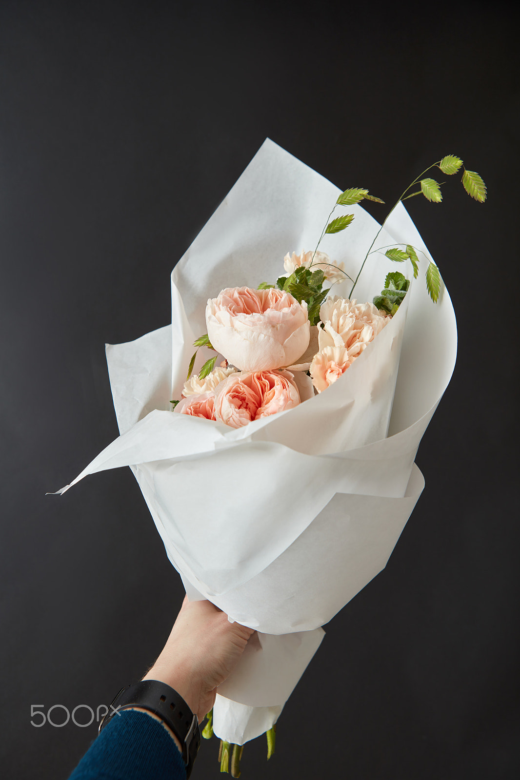 Canon EF 24-70mm F2.8L USM sample photo. Beautiful pink roses photography