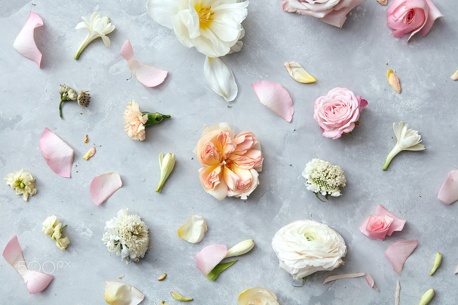 Canon EF 24-70mm F2.8L USM sample photo. Background of flowers photography
