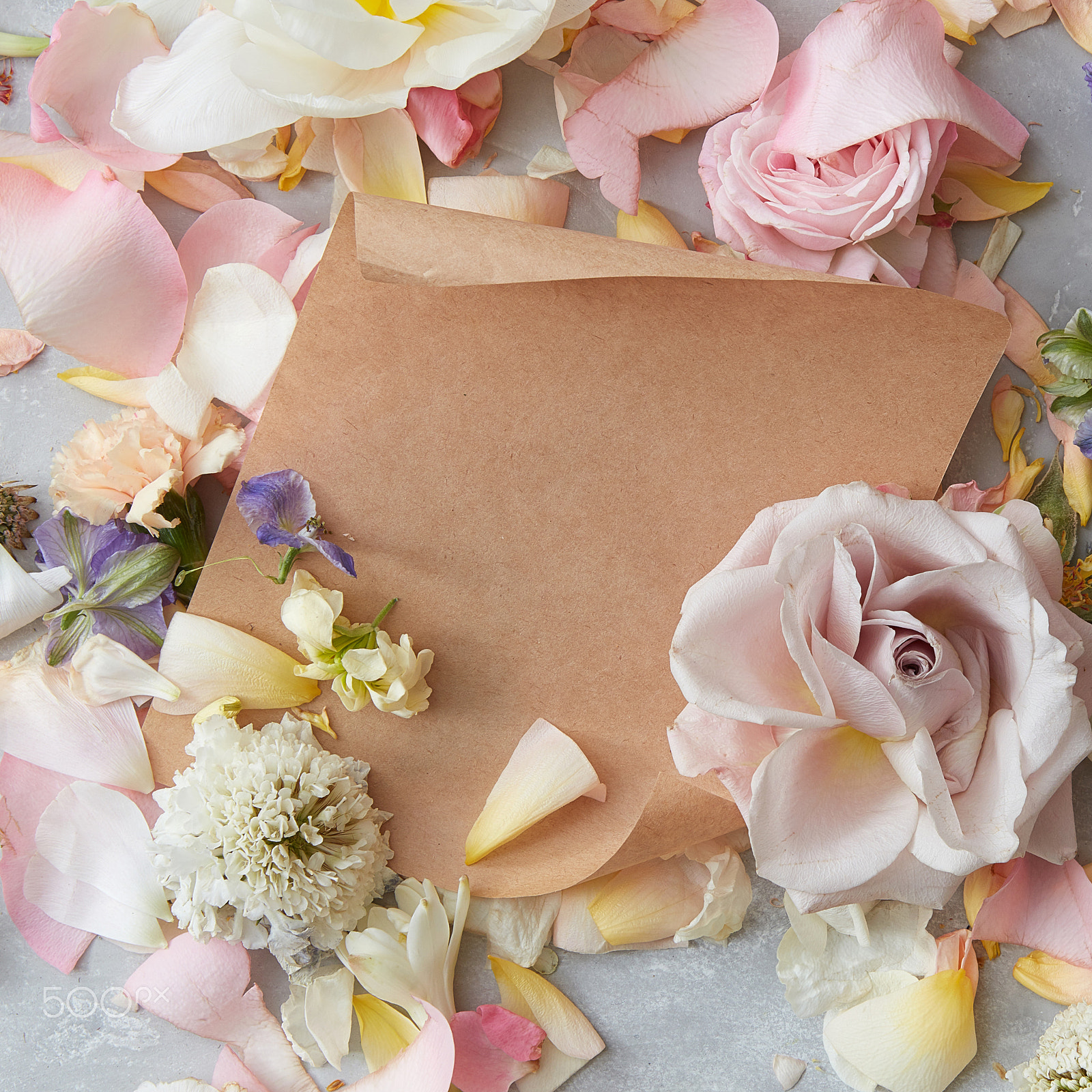 Canon EOS 5DS R sample photo. Flowers and envelope photography
