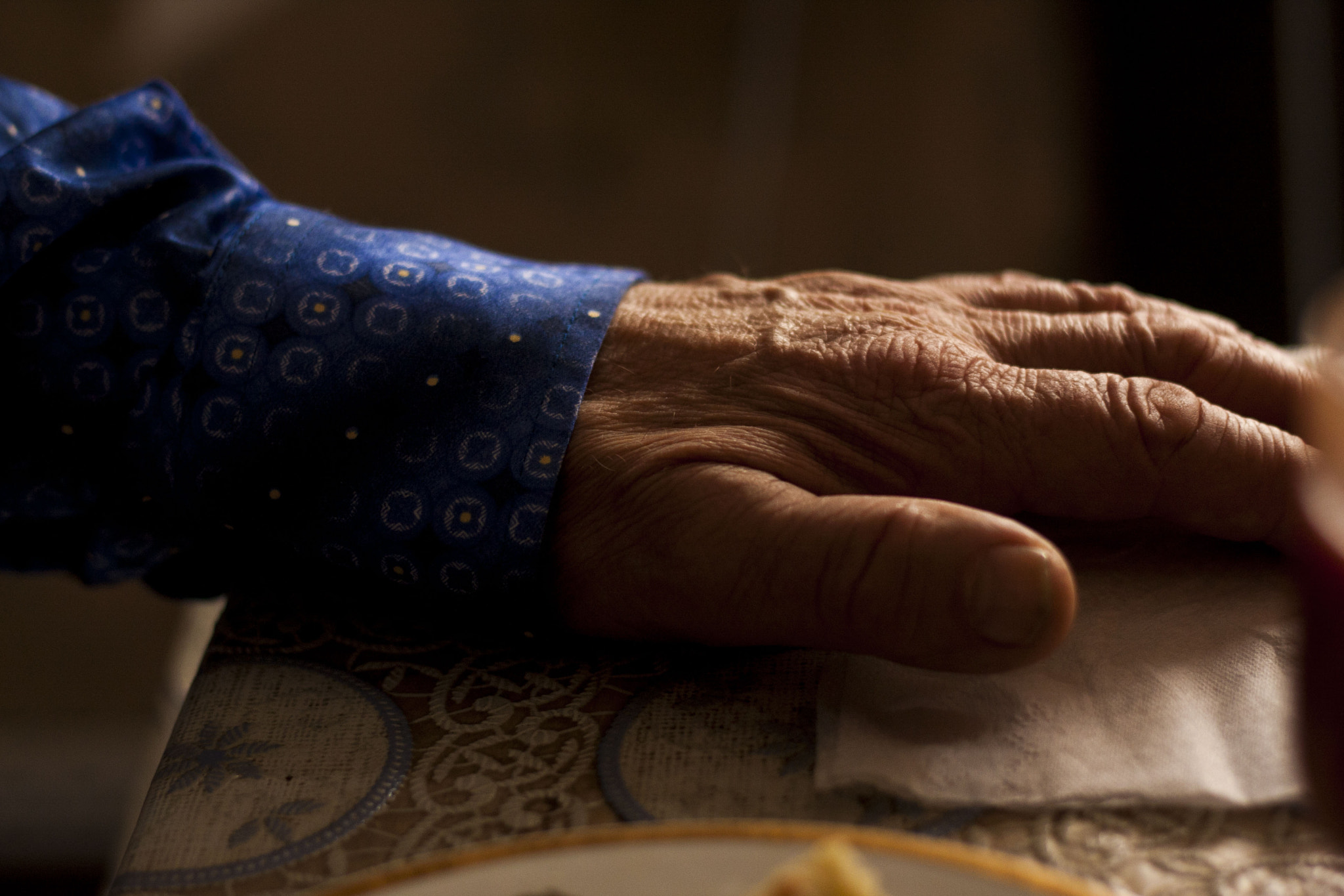 Canon EOS 40D + Canon EF 50mm F1.8 II sample photo. Grandpa`s hand photography