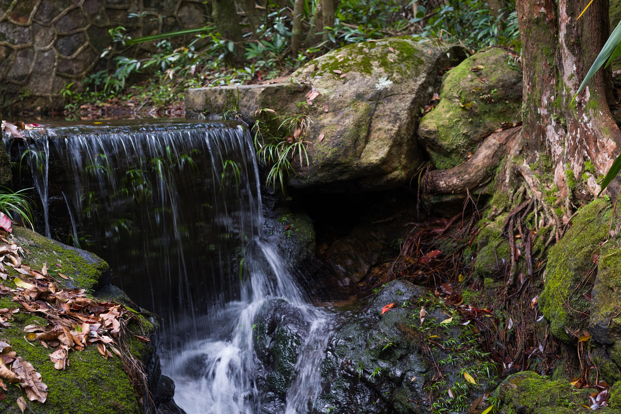 Leica APO-Summicron-M 50mm F2 ASPH sample photo