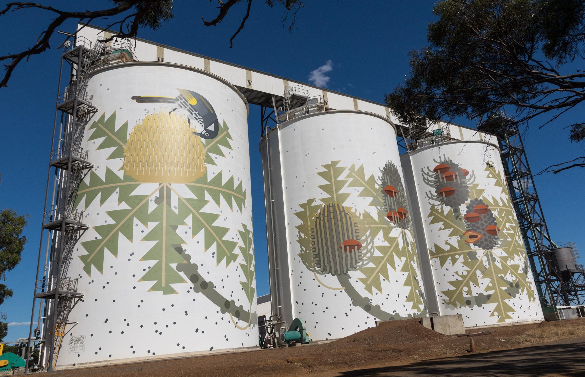 Pentax K-3 + Sigma 17-50mm F2.8 EX DC HSM sample photo. Street art on raventhorpe wheat silos photography