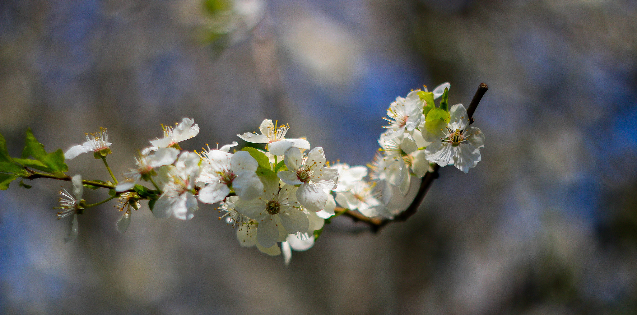 Canon EF 28-80mm f/3.5-5.6 sample photo. New day photography