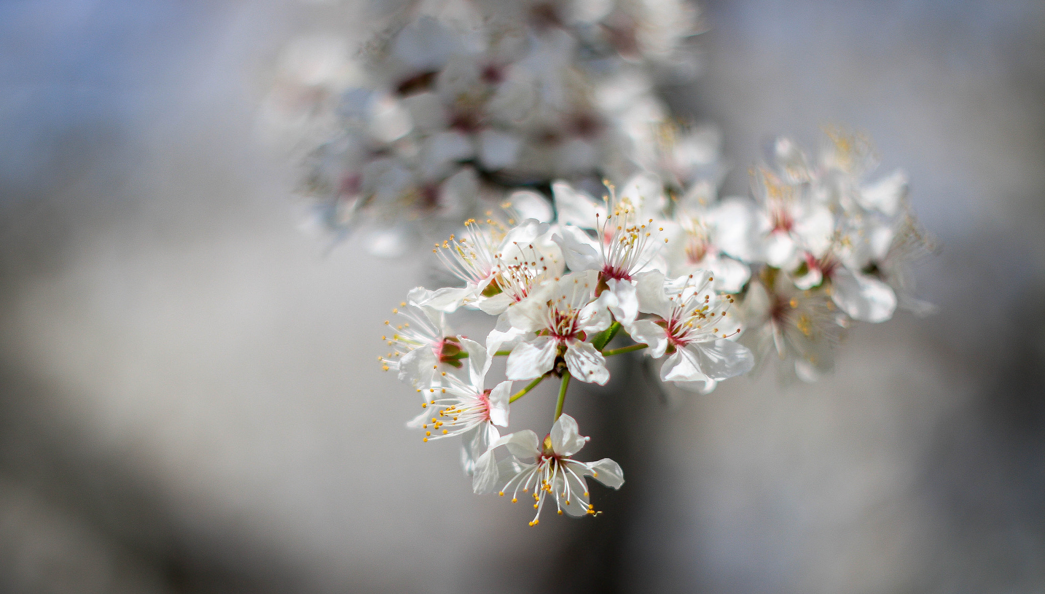 Canon EF 28-80mm f/3.5-5.6 sample photo. New color photography