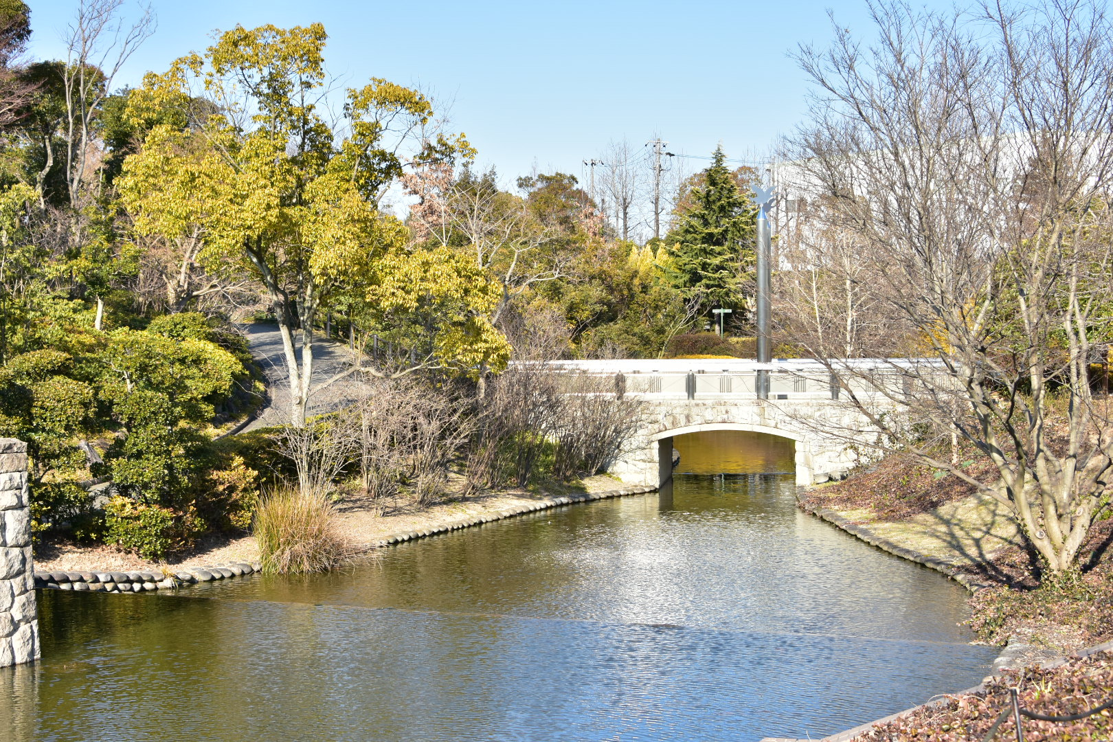 Nikon D7200 sample photo