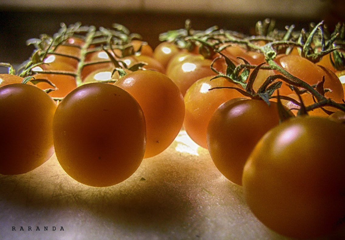 Olympus SP500UZ sample photo. Tomates photography