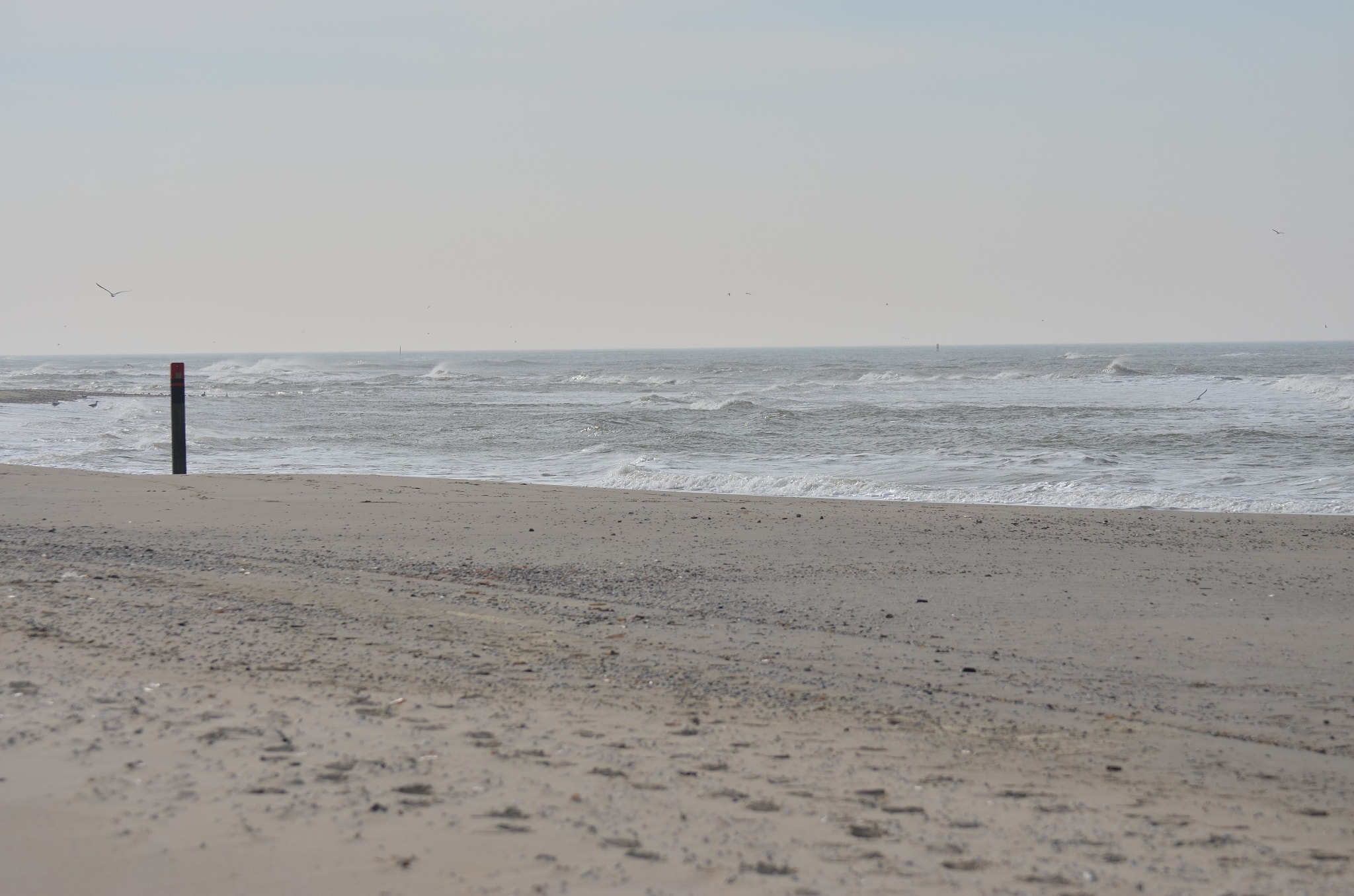 Nikon D5100 sample photo. Texel beach near stake 13.75 photography