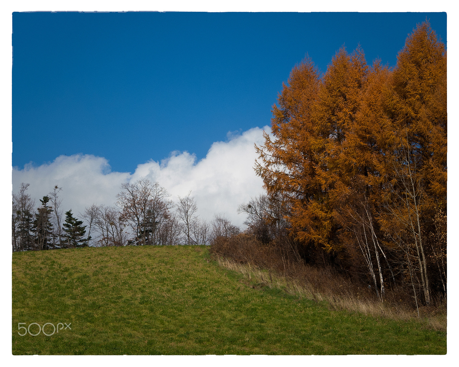 KONICA MINOLTA DYNAX 7D sample photo. Slope photography
