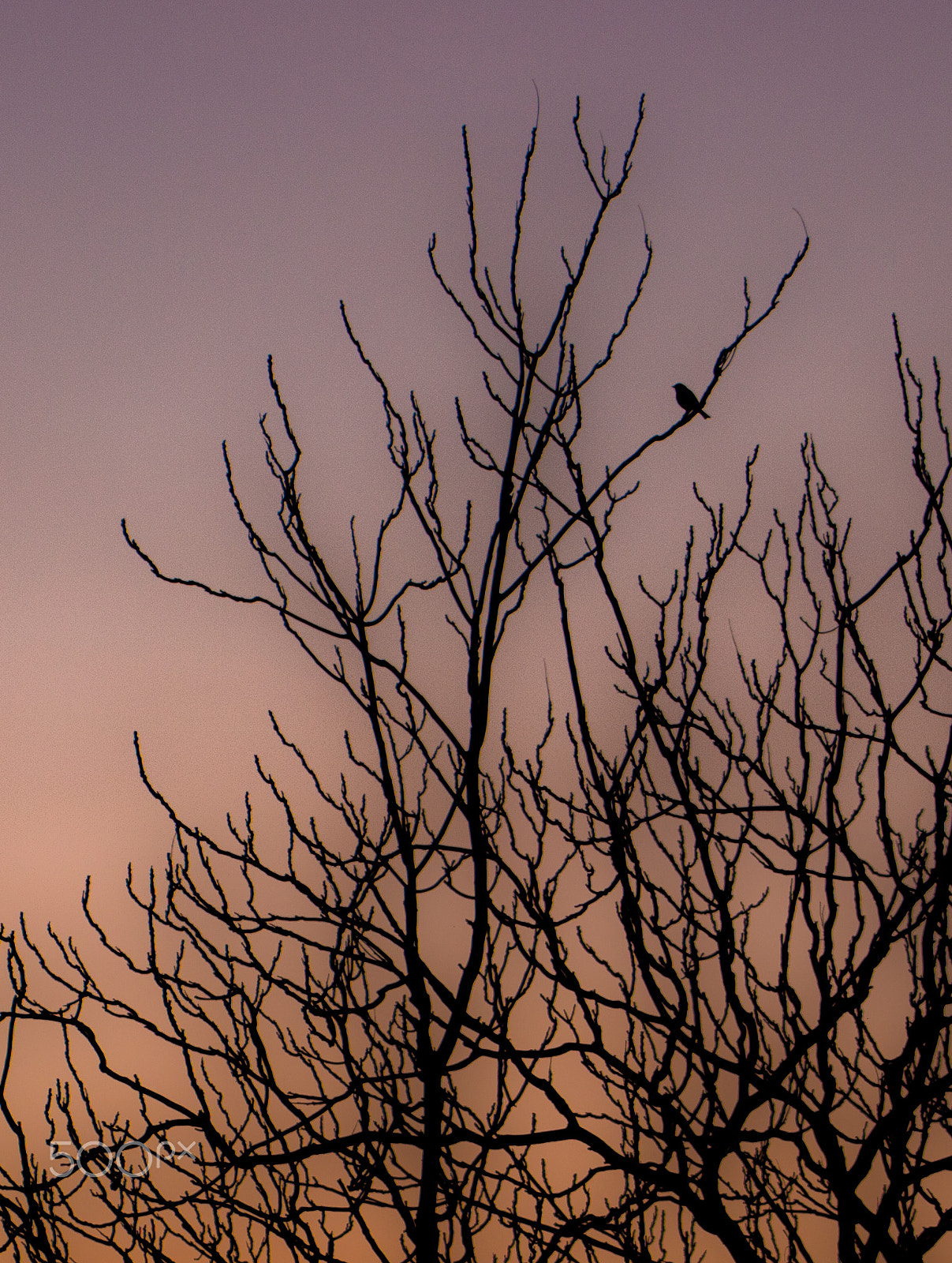 Canon EOS 100D (EOS Rebel SL1 / EOS Kiss X7) sample photo. Goodnight athens photography