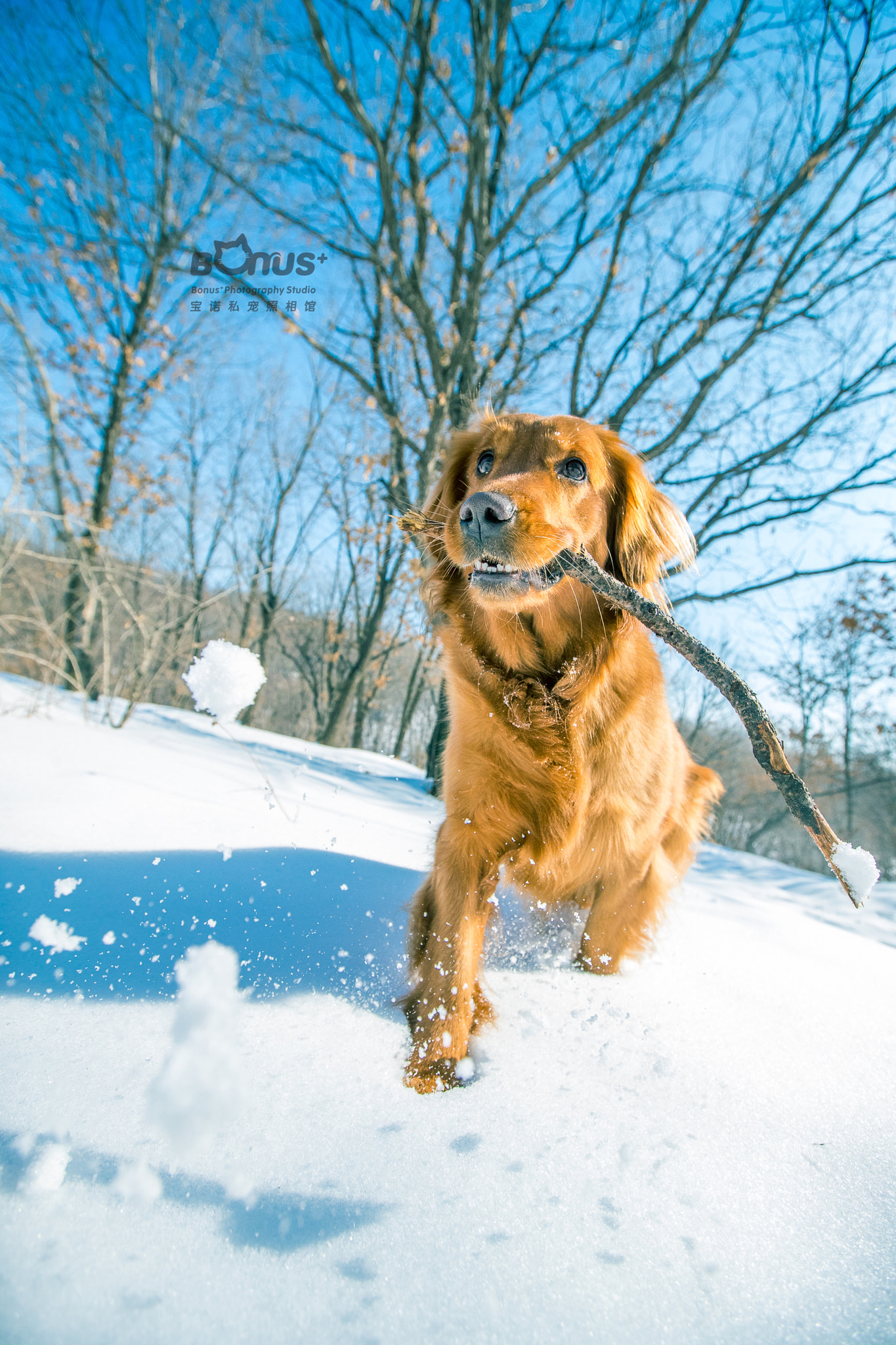 Canon EF 16-35mm F2.8L II USM sample photo