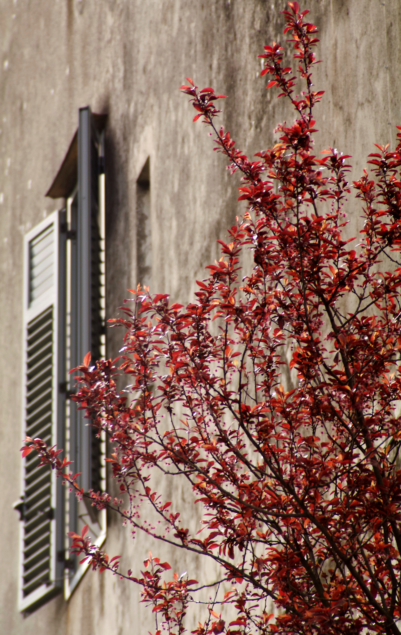 Pentax K-7 + Tamron AF 28-200mm F3.8-5.6 XR Di Aspherical (IF) Macro sample photo. Point of view photography