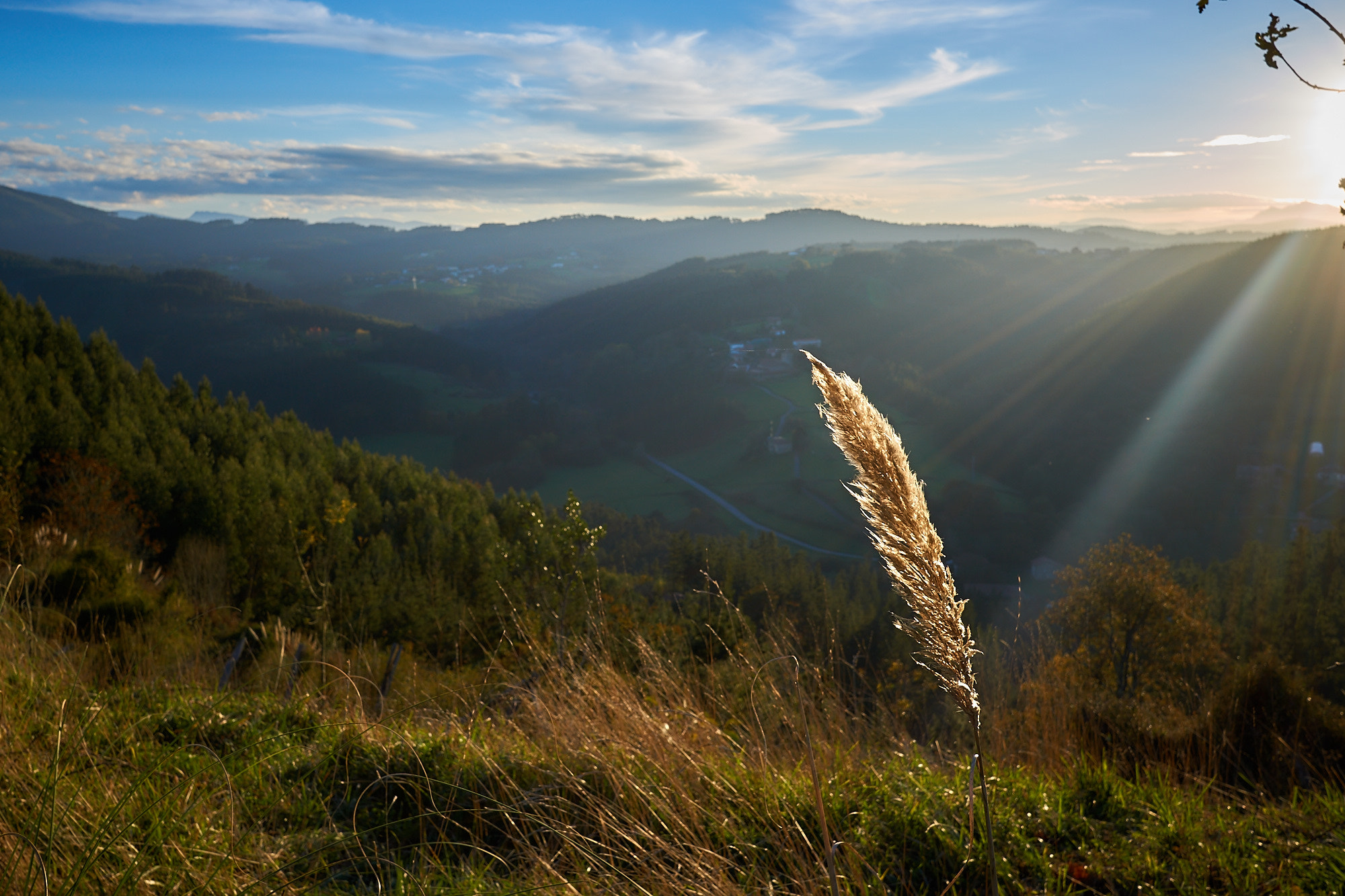 Sigma 19mm F2.8 EX DN sample photo. Sunset in errigoiti photography