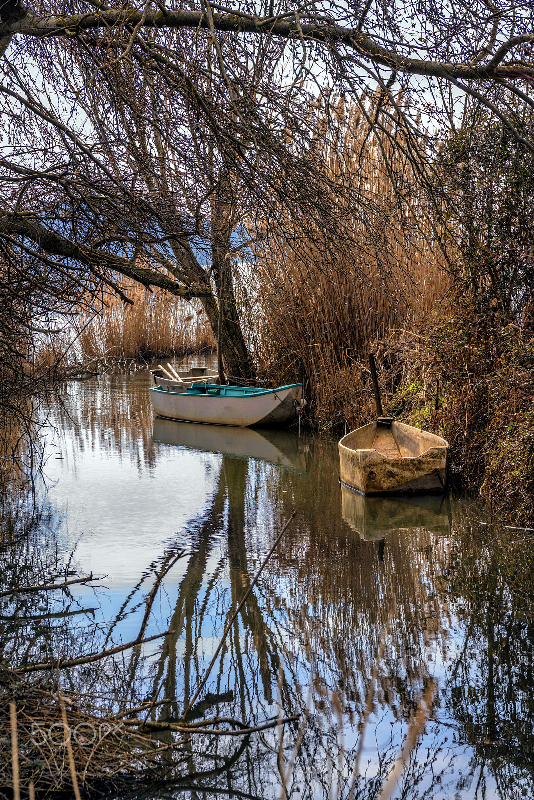 Nikon D810 + Sigma 24-105mm F4 DG OS HSM Art sample photo. Abandoned boats photography