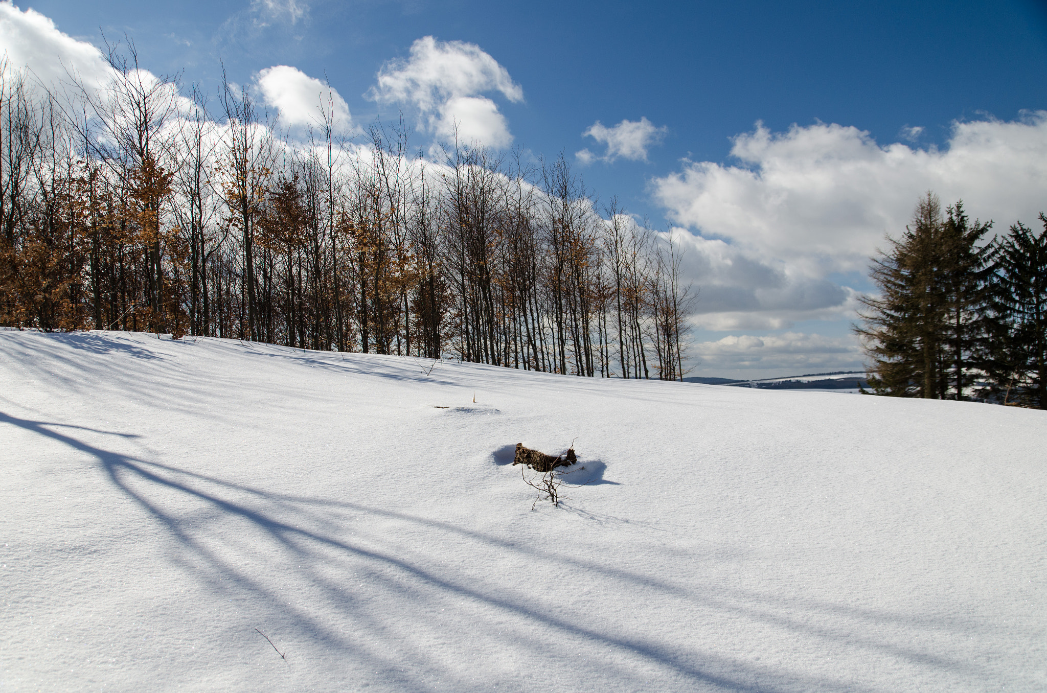 Nikon D5100 sample photo. On the snow photography