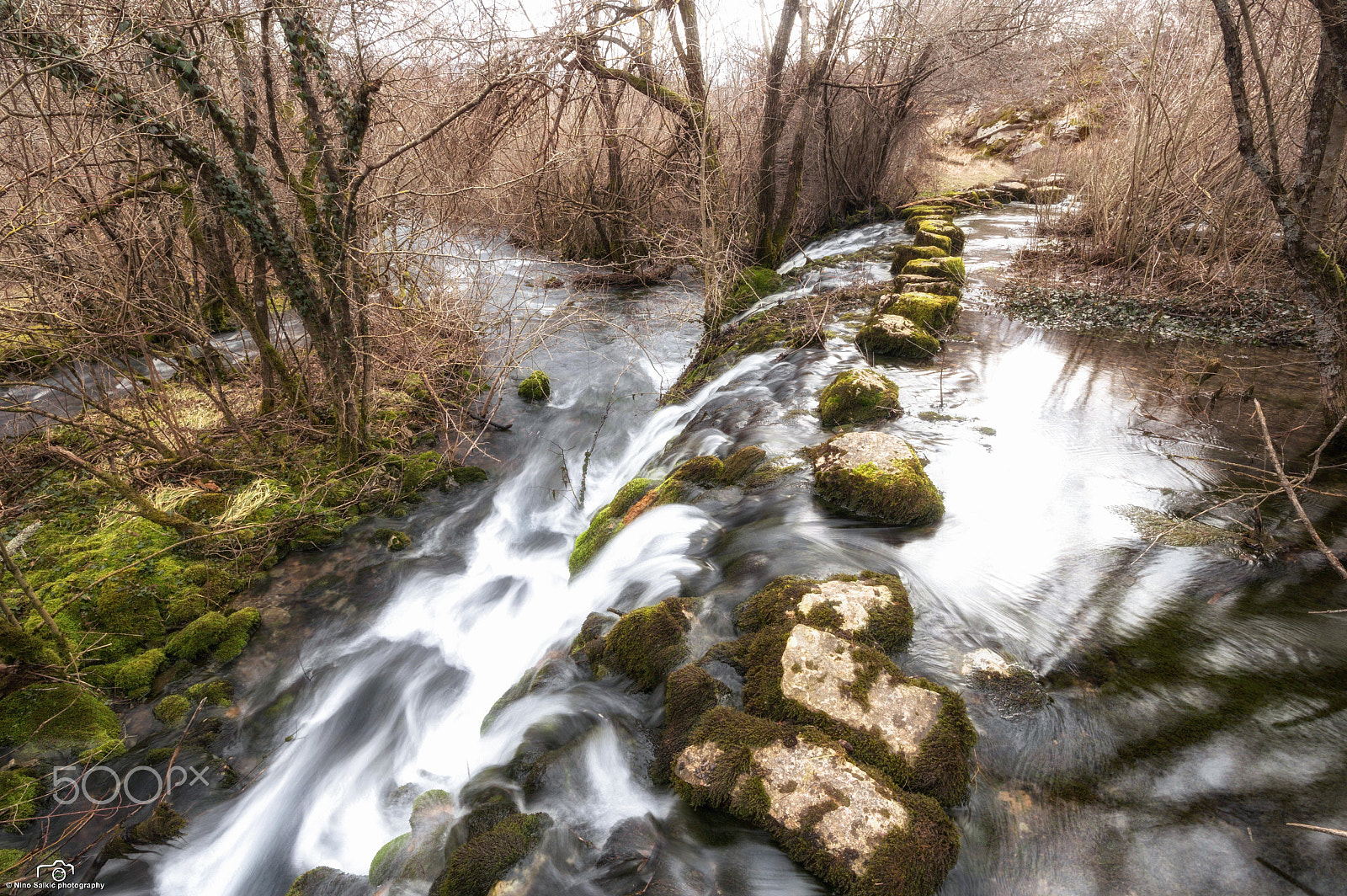 Canon EOS 6D + Canon EF 300mm f/2.8L sample photo. Follow the path of nature photography