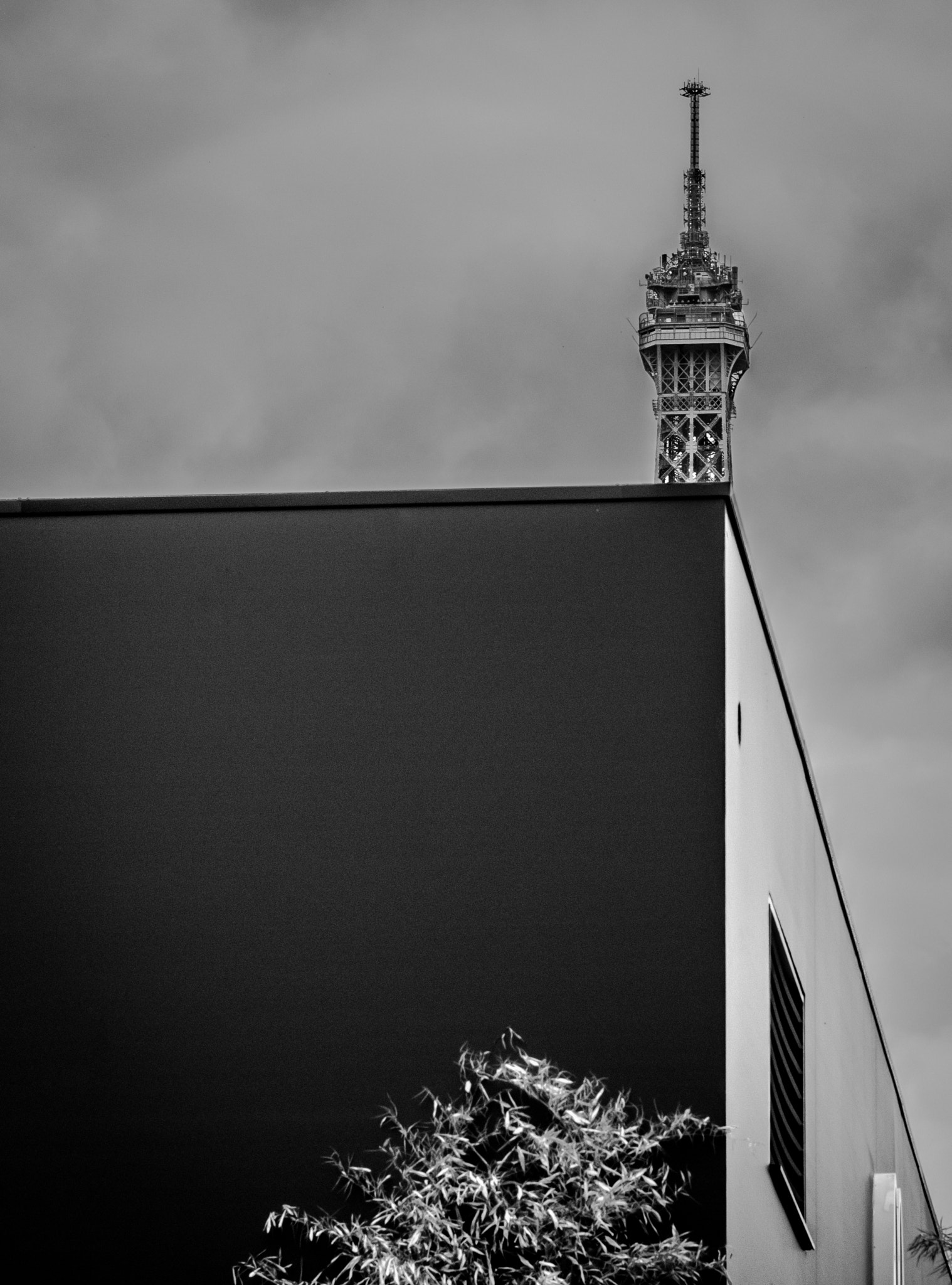 Nikon AF-S Nikkor 24-70mm F2.8G ED sample photo. Really great antenna photography